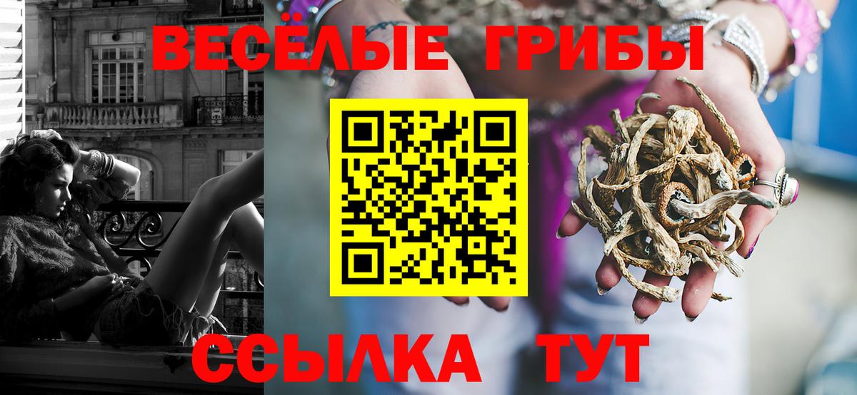 Галлюциногенные грибы GOLDEN TEACHER Йошкар-Ола